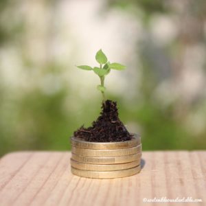 Planta sobre monedas, economía verde ecológica
